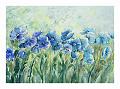 Mary Brand - Watercolours 06